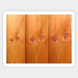 Pine wood panels Sticker